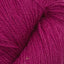 Patagonia dragonfruit [155]