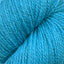 Patagonia capri [158]