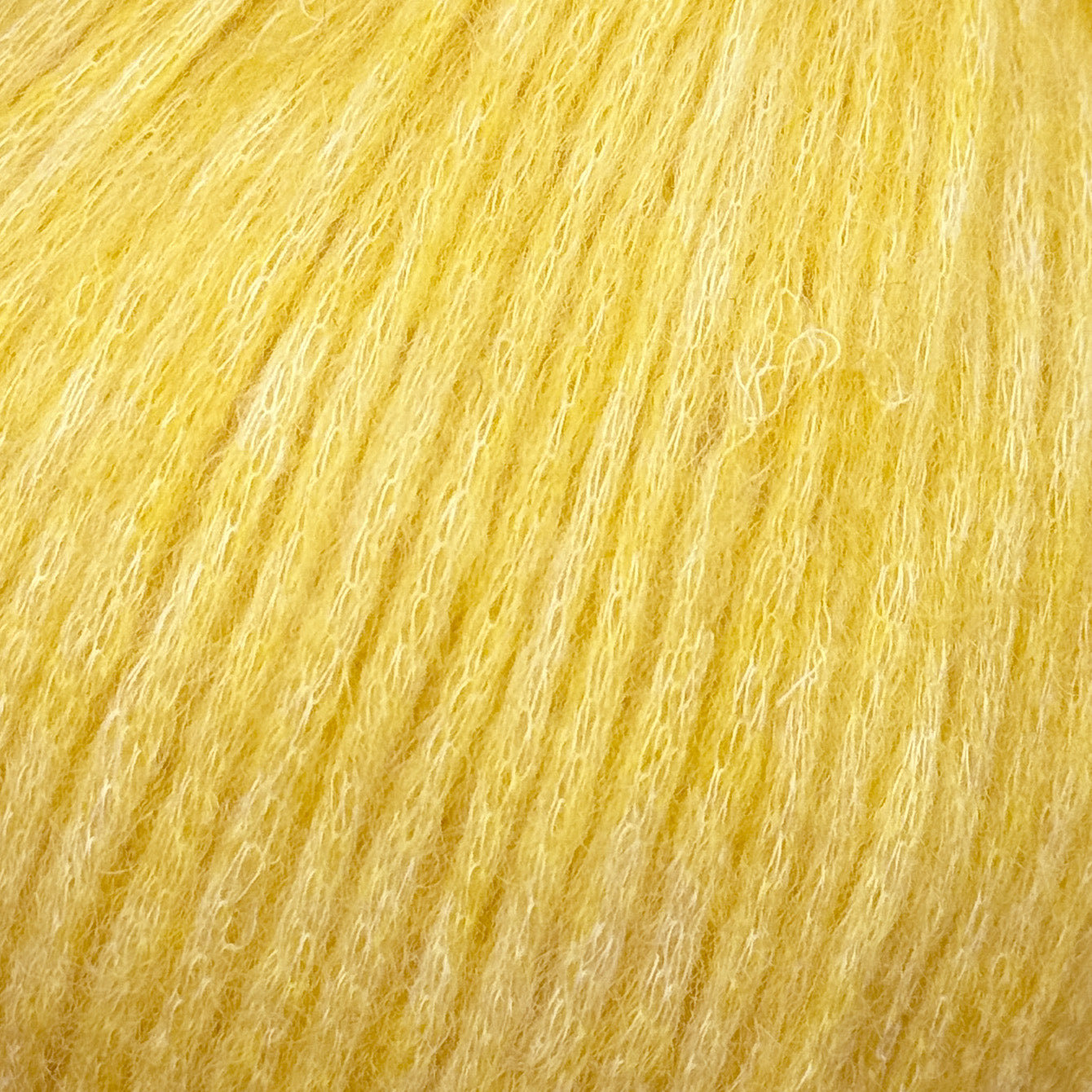 Snefnug citrongul [7862]