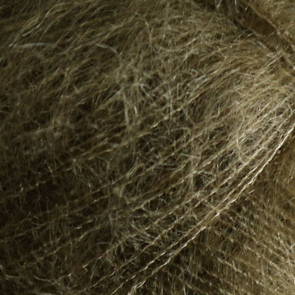 Tilia olive noir [386]