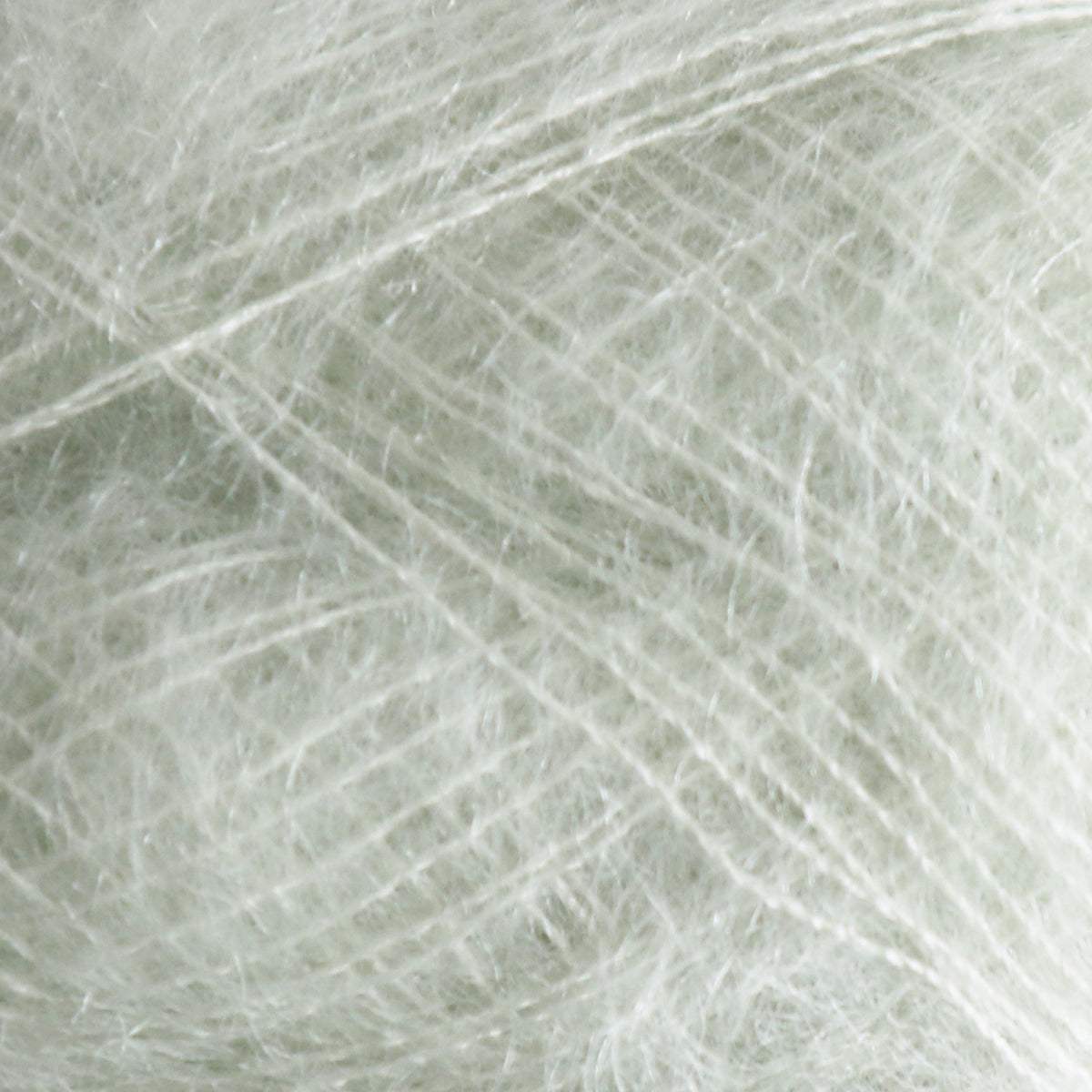Tilia mint halo [405]