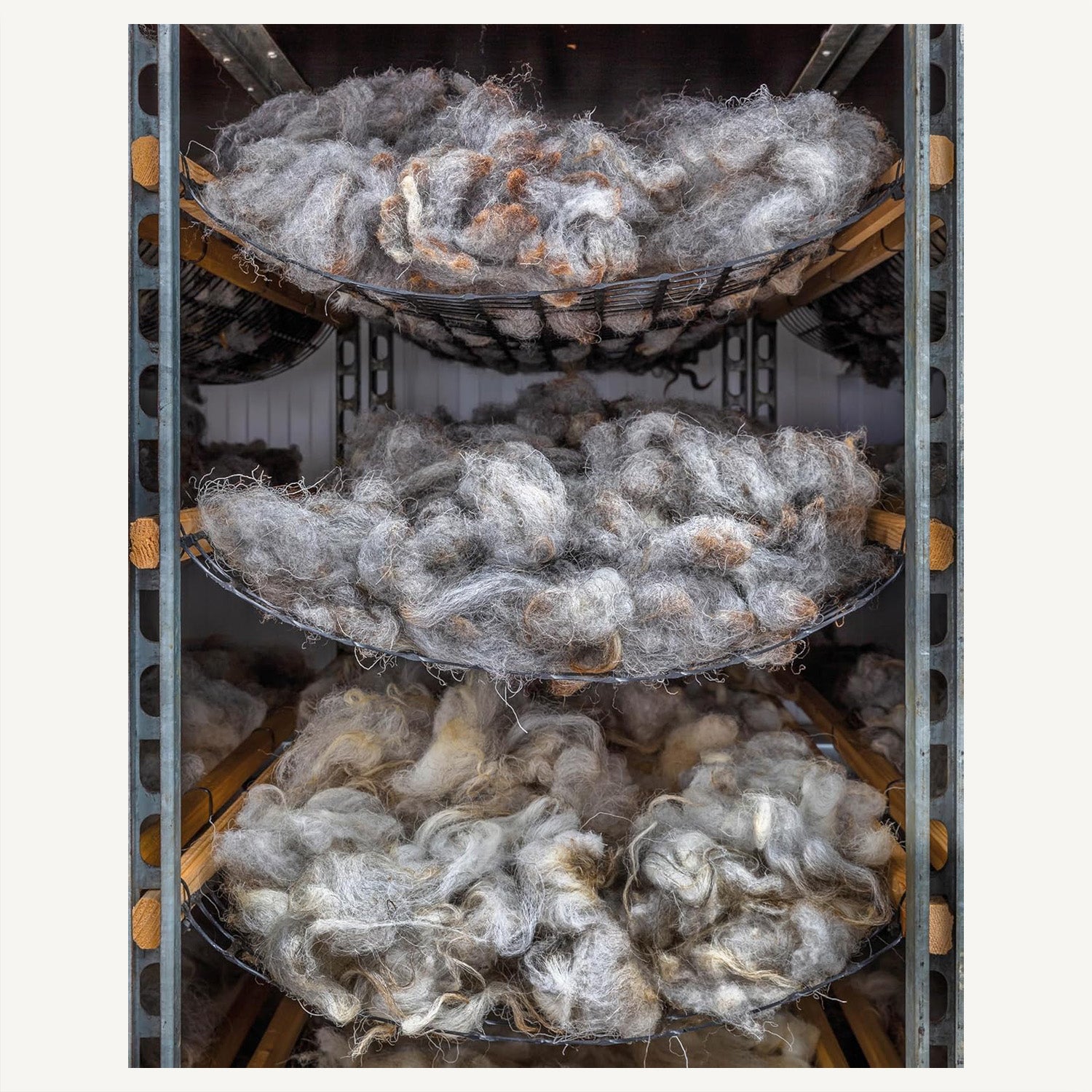 The Wonder of Wool: A knitter's guide to pure breed sheep
