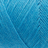 Arwetta alaskan blue [141]