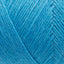 Arwetta alaskan blue [141]