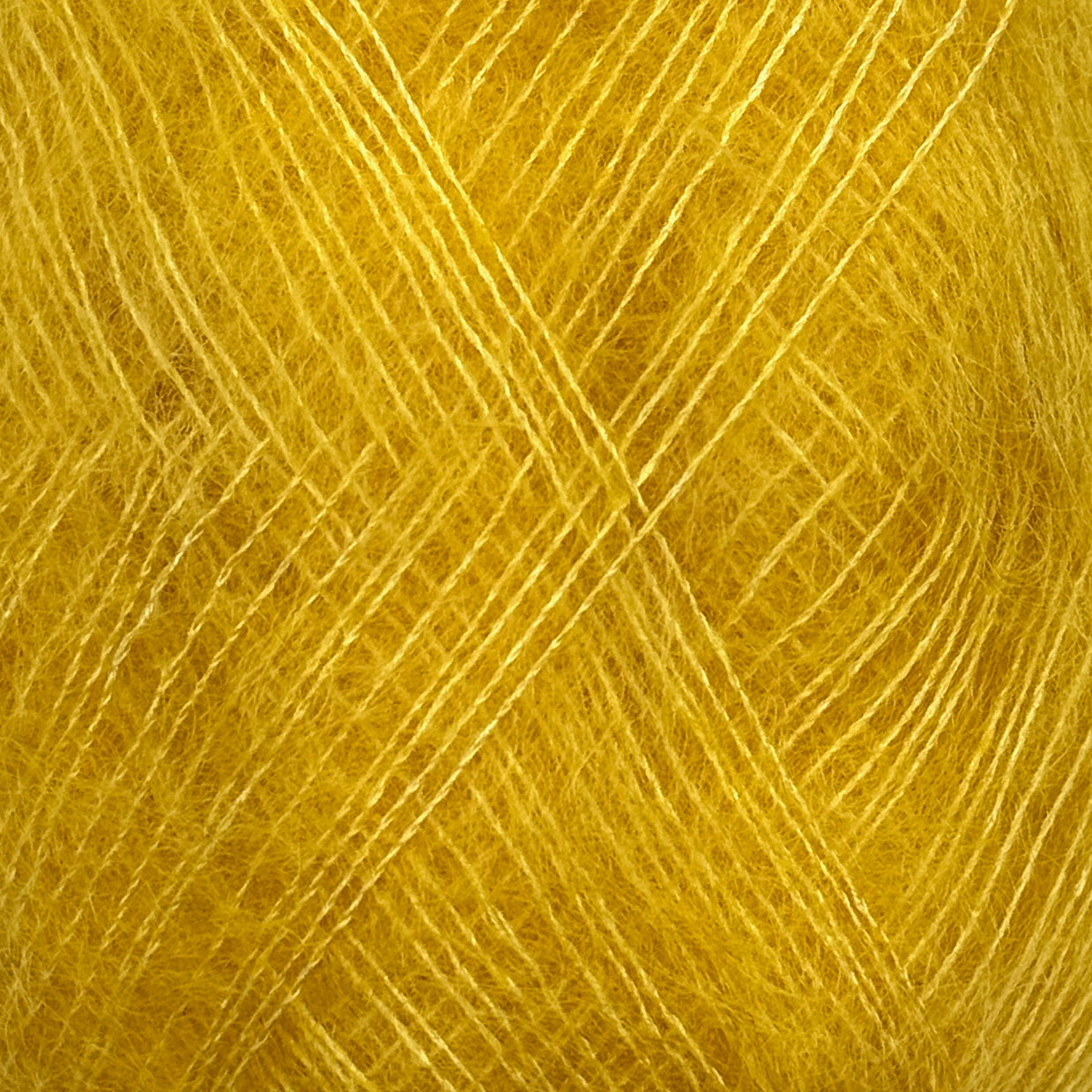 Tilia banana [211]