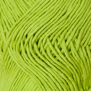 Petunia lime [216]